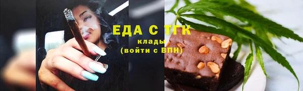 индика Абаза