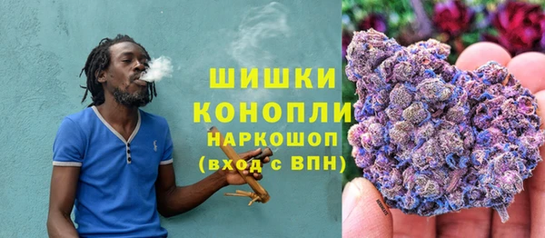 индика Абаза