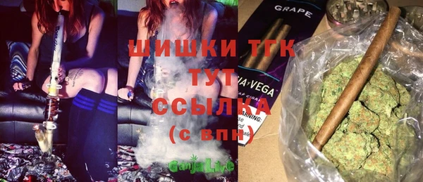 индика Абаза
