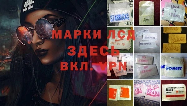 индика Абаза