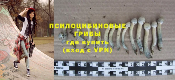 индика Абаза