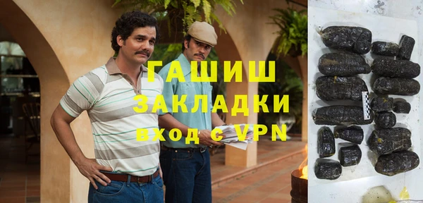индика Абаза