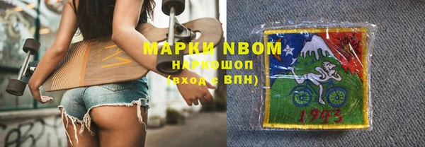 индика Абаза