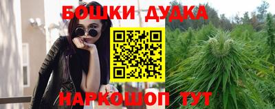 молекула духа Обнинск