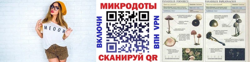 купить  сайты  Истра  Псилоцибиновые грибы Cubensis 
