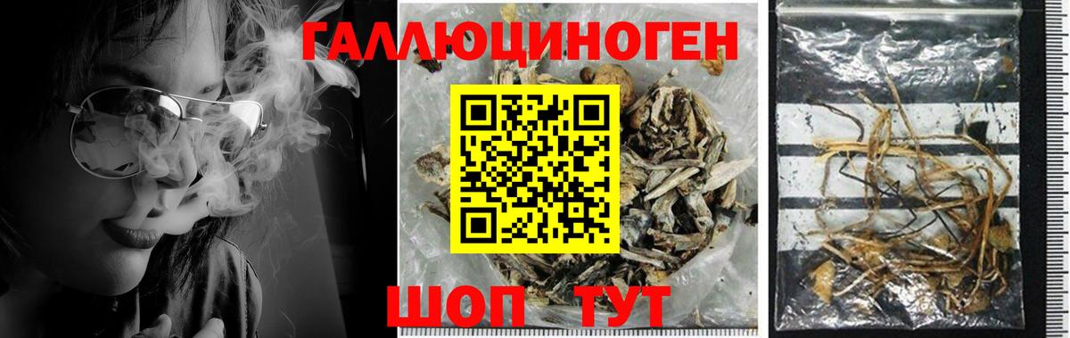 Галлюциногенные грибы Magic Shrooms  Вход с VPN  Истра 
